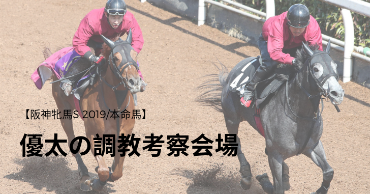 【阪神牝馬S 2019/本命馬】