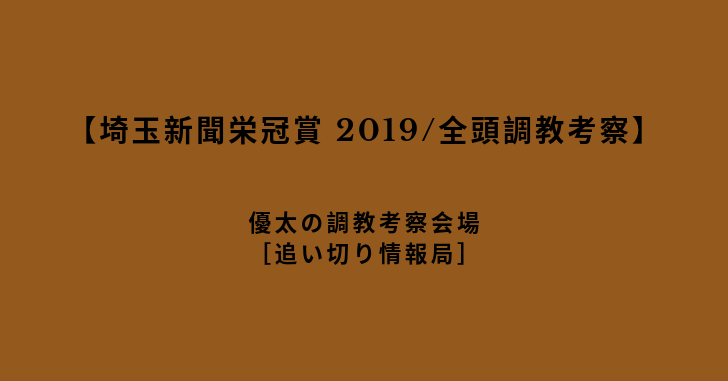 【埼玉新聞栄冠賞 2019/全頭調教考察】