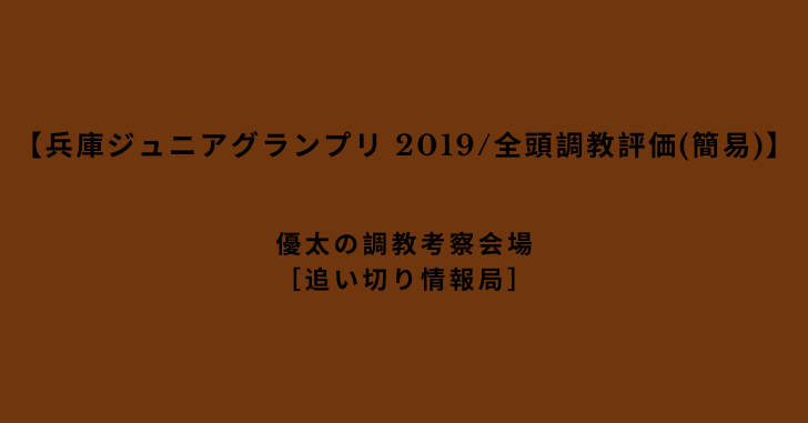 【兵庫ジュニアグランプリ 2019/全頭調教評価(簡易)】
